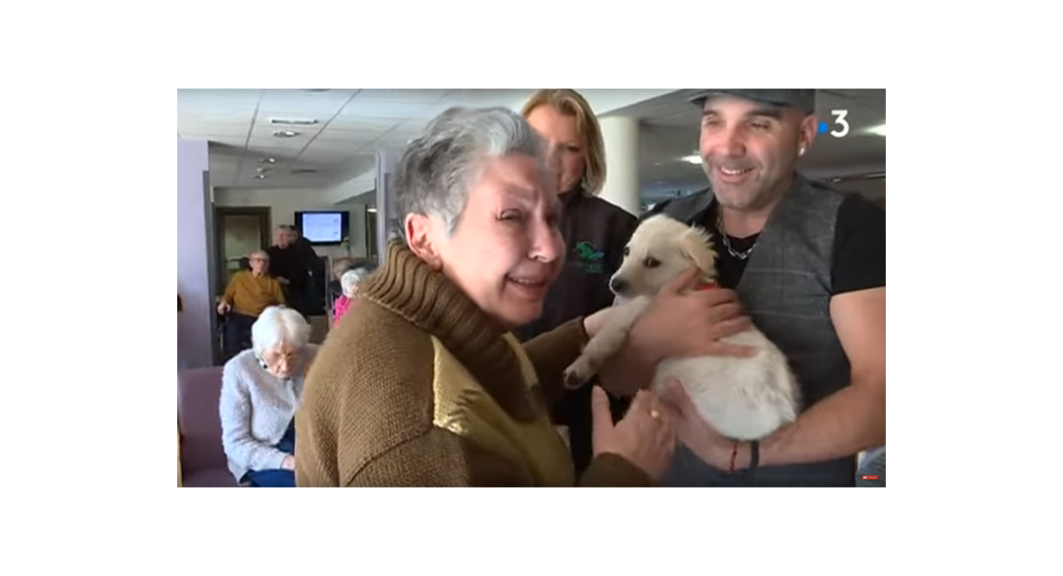 L'EHPAD de Pézilla-la-Rivière adopte un chien pour ses résidents