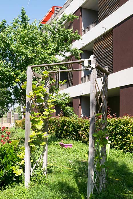 Logements Séniors et jeunes
