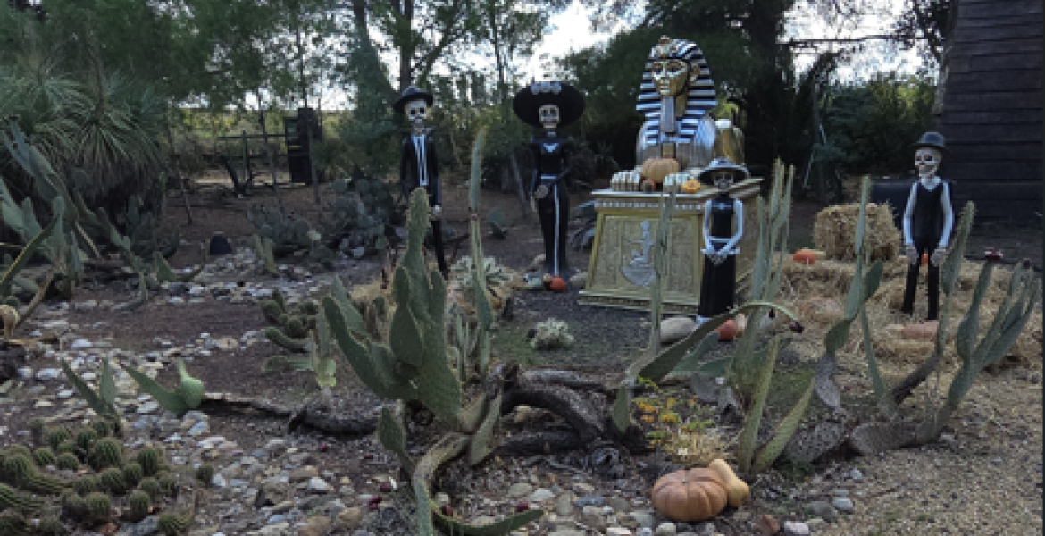 Photo au Jardin exotique de Ponteilla 