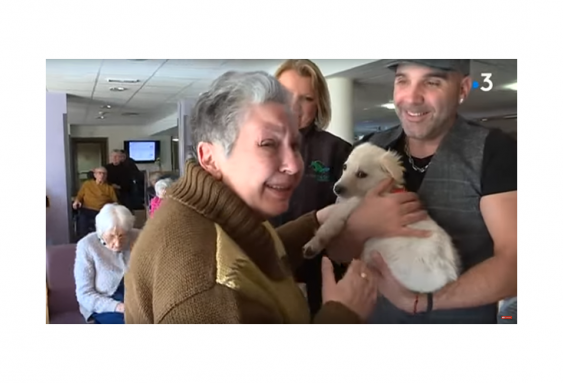 L'EHPAD de Pézilla-la-Rivière adopte un chien pour ses résidents