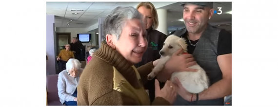 L'EHPAD de Pézilla-la-Rivière adopte un chien pour ses résidents